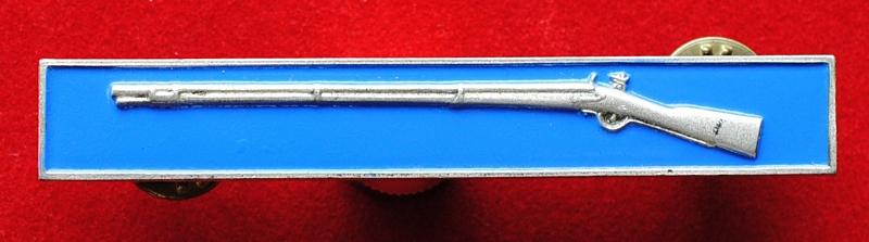 United States of America Expert Infantryman Badge
