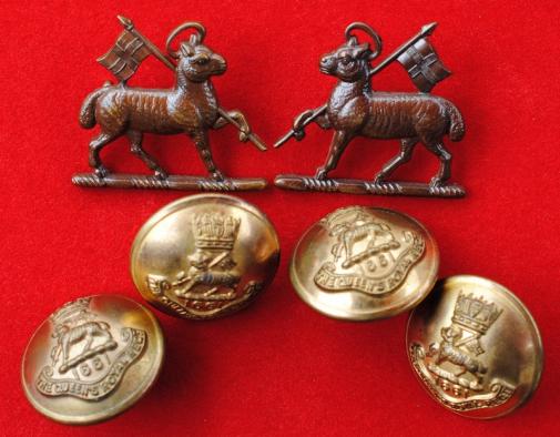 West Surreys Officer Bronze Collar Dogs and 4 Brass  Buttons